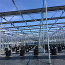 Agriculture Solar Farmland Mounting System
